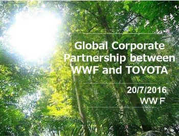 Toyota ile WWF 'sıfır karbon' için iş birliği yapacak