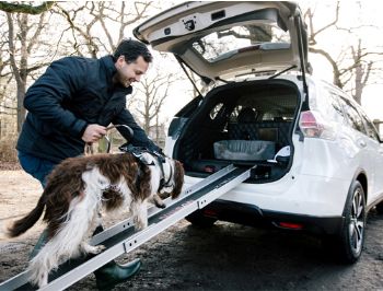 Nissan'dan köpek dostu ailelere özel X-Trail